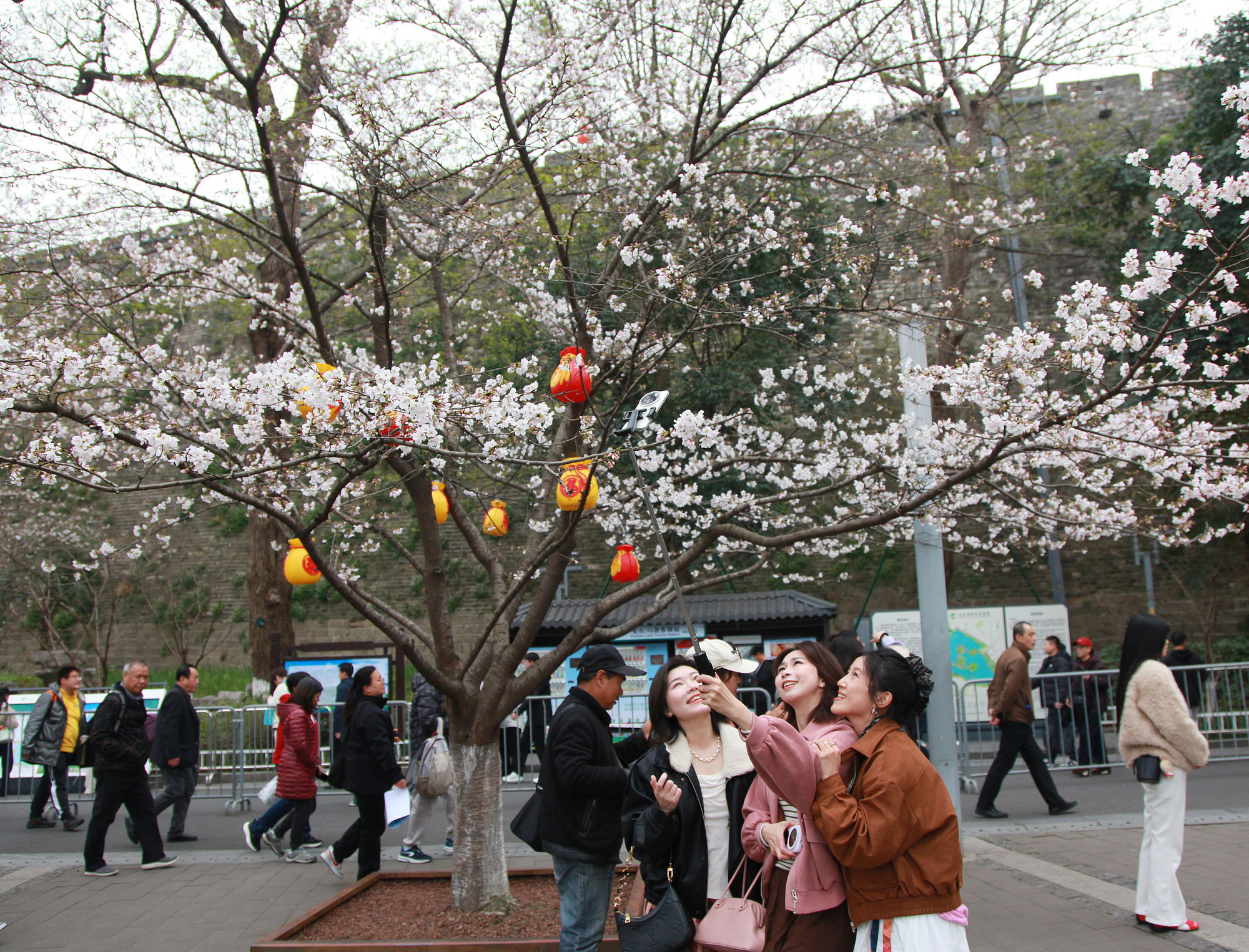 春日经济,何以“活力”全开?
