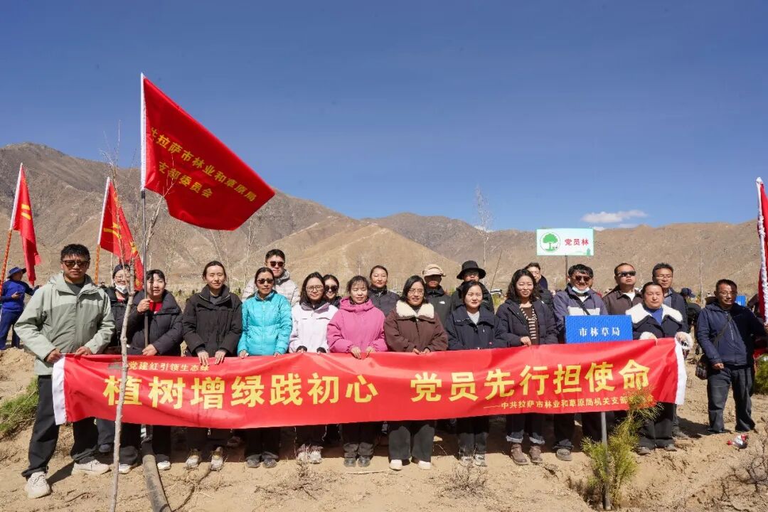 拉萨南北山绿化工程最新进展来了