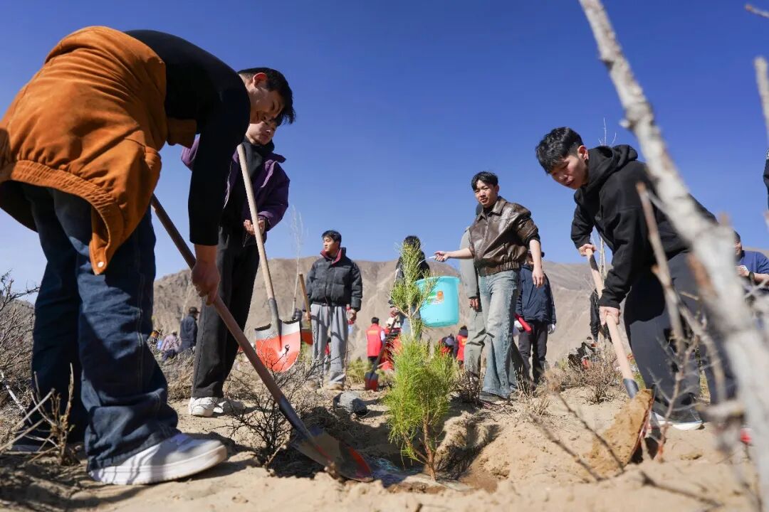 拉萨南北山绿化工程最新进展来了