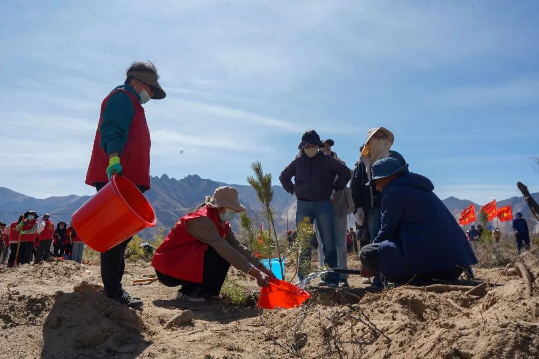 拉萨南北山绿化工程最新进展来了