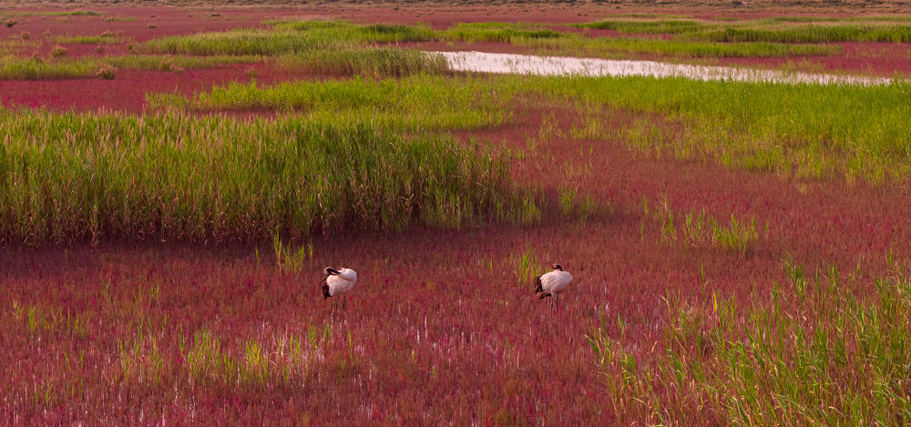 世界水日：听，跨越山河的同频共振