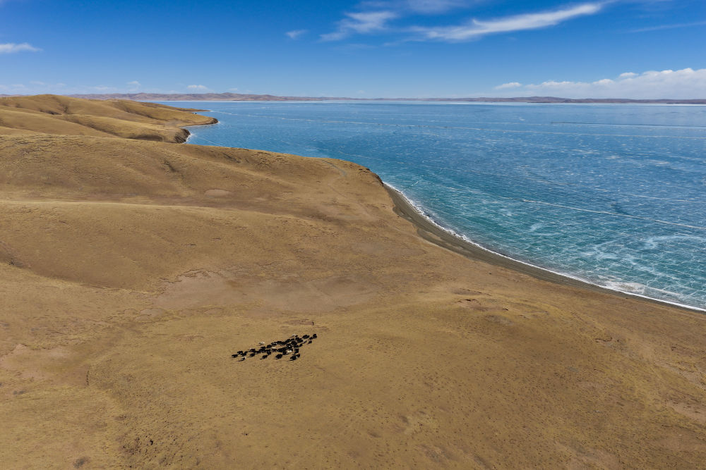 世界水日:听,跨越山河的同频共振 世界水日:听,跨越山河的同频共振