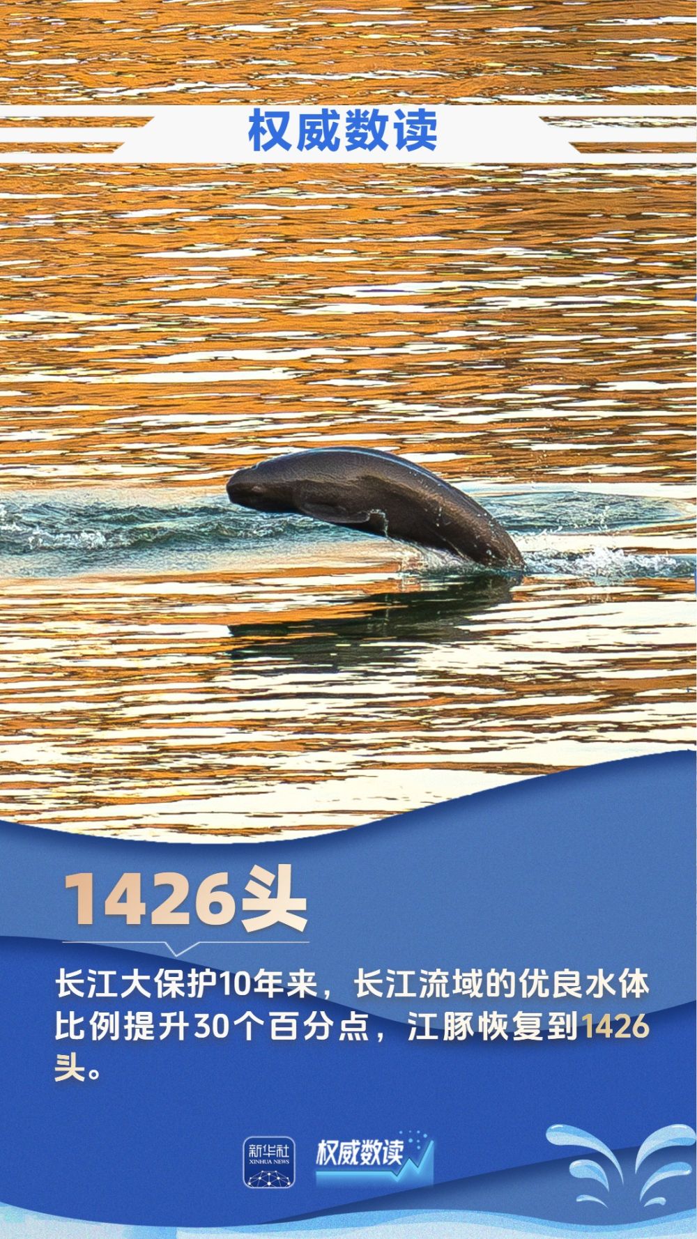 权威数读｜九组数据，见证大国治水的生动画卷