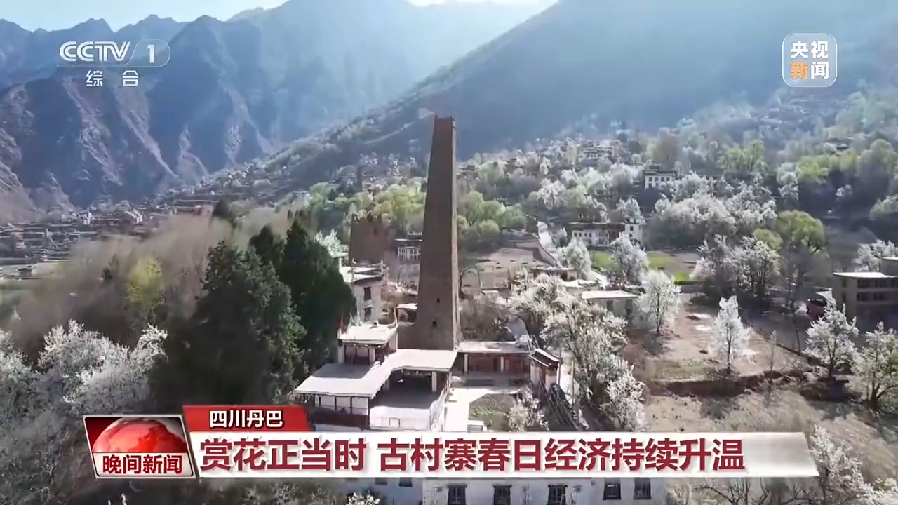 从田间到花海 科技春耕与春日经济共绘希望田野