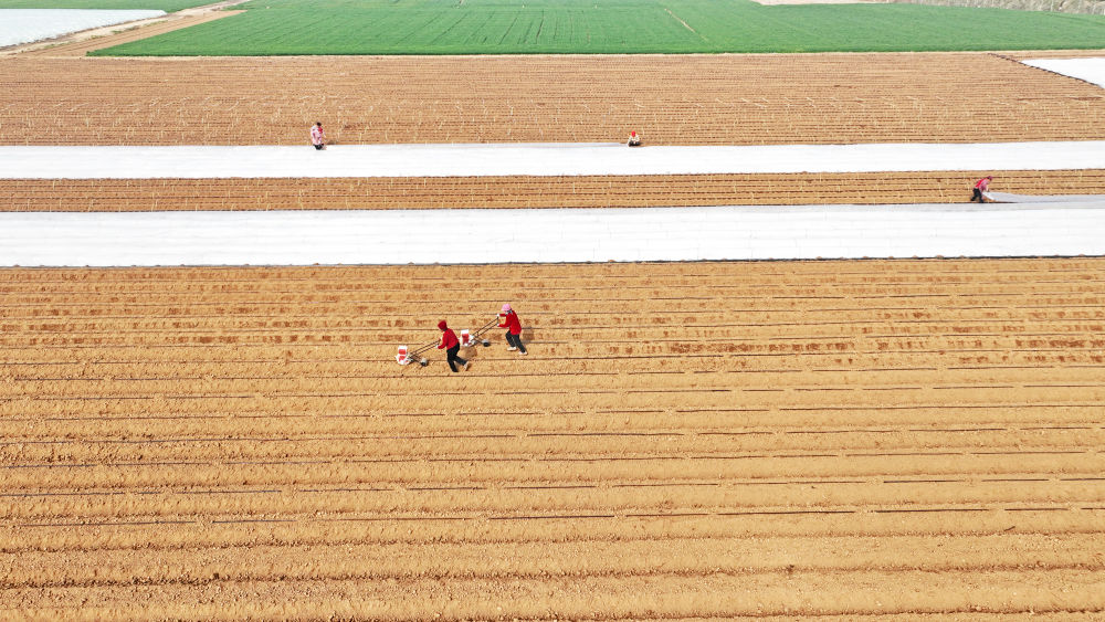 钟华论：一步一步往上走，一程一程向复兴
