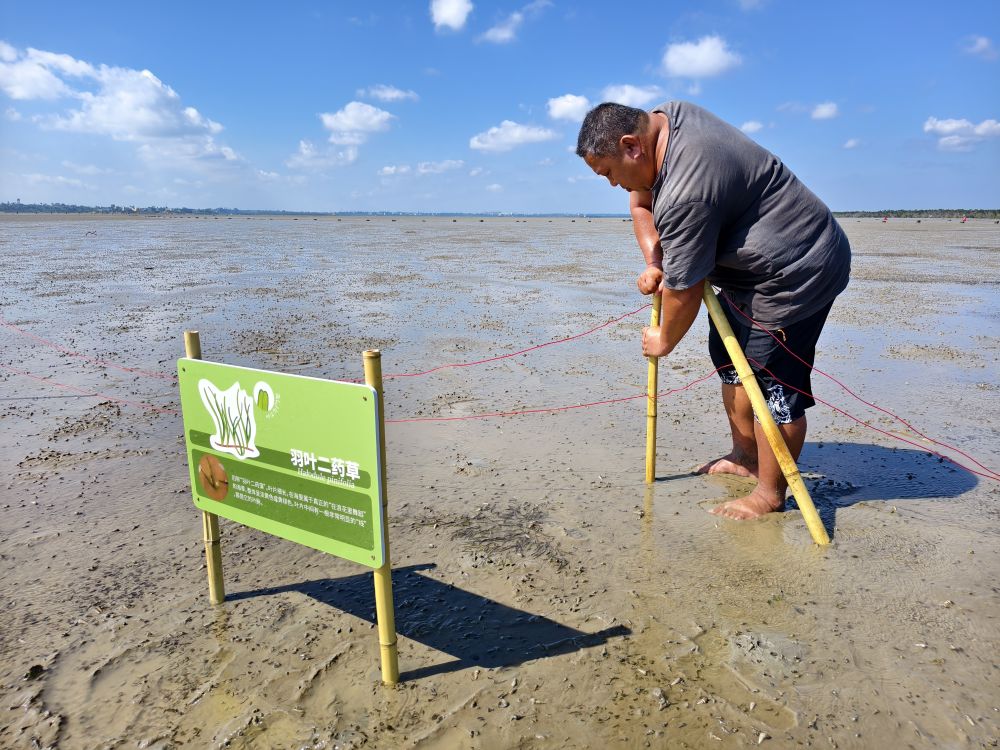 守护家门口的“金山银山”——海口北港村发展转型记