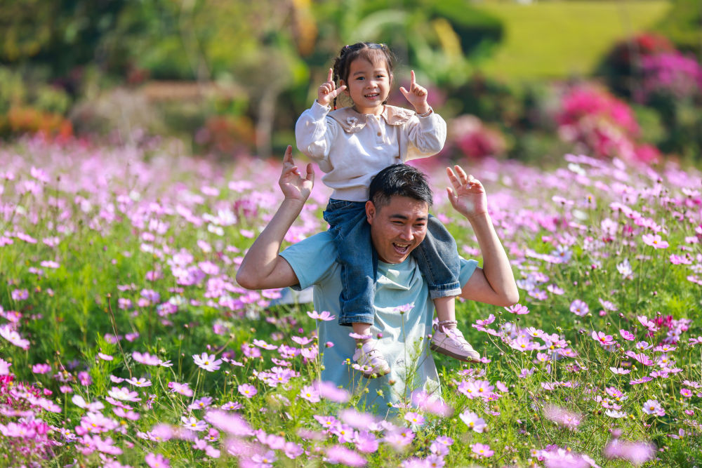 从赏花“流量”到消费“增量” “春日经济”持续升温