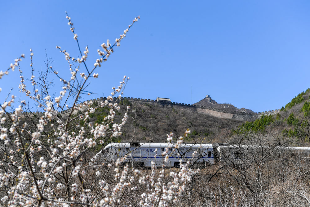 春日经济新图景｜开往春天的列车，一路繁花一路歌！