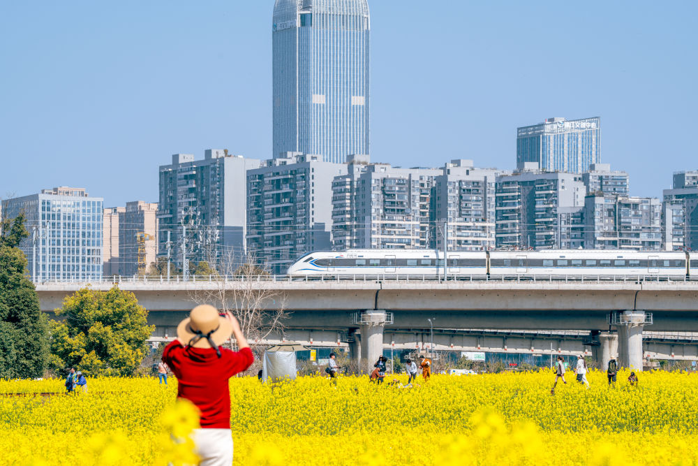 春日经济新图景｜开往春天的列车，一路繁花一路歌！