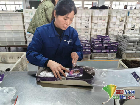 原来你是这样的河南|三张名片解锁许昌的实业兴、民生暖、文脉盛