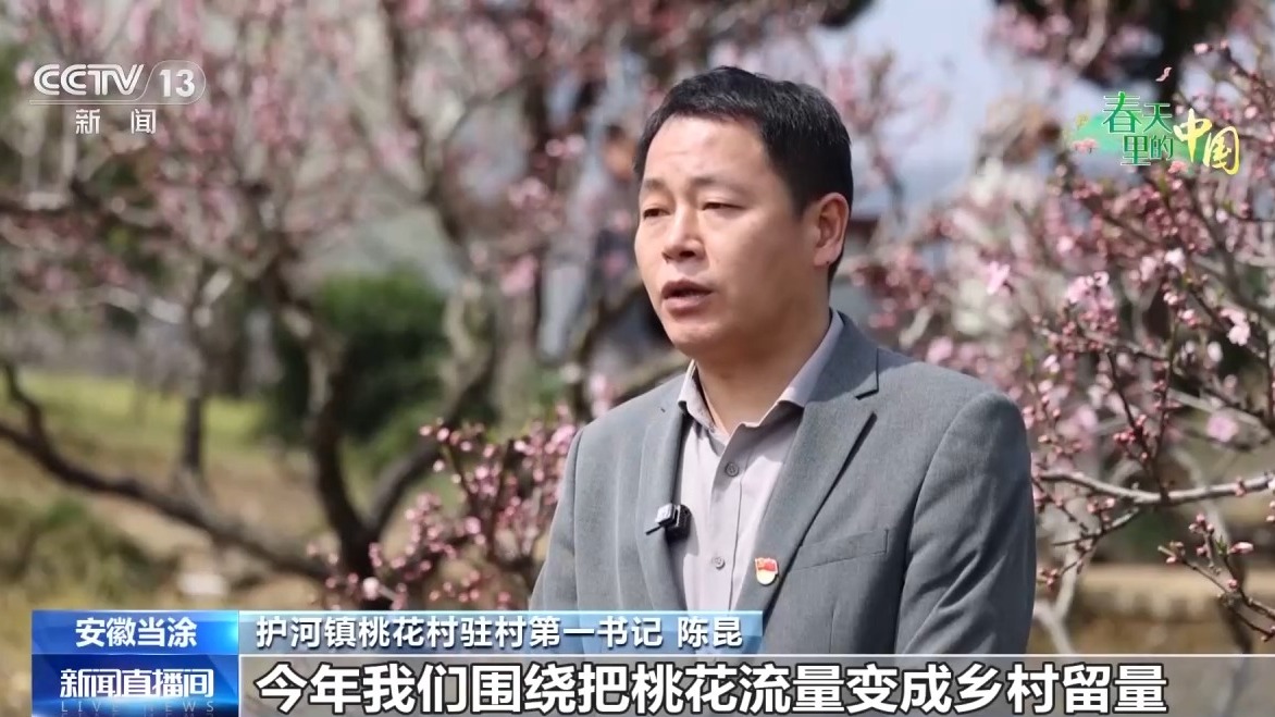 视频丨梯田美景、农家民宿……各地花海美景激活春日经济