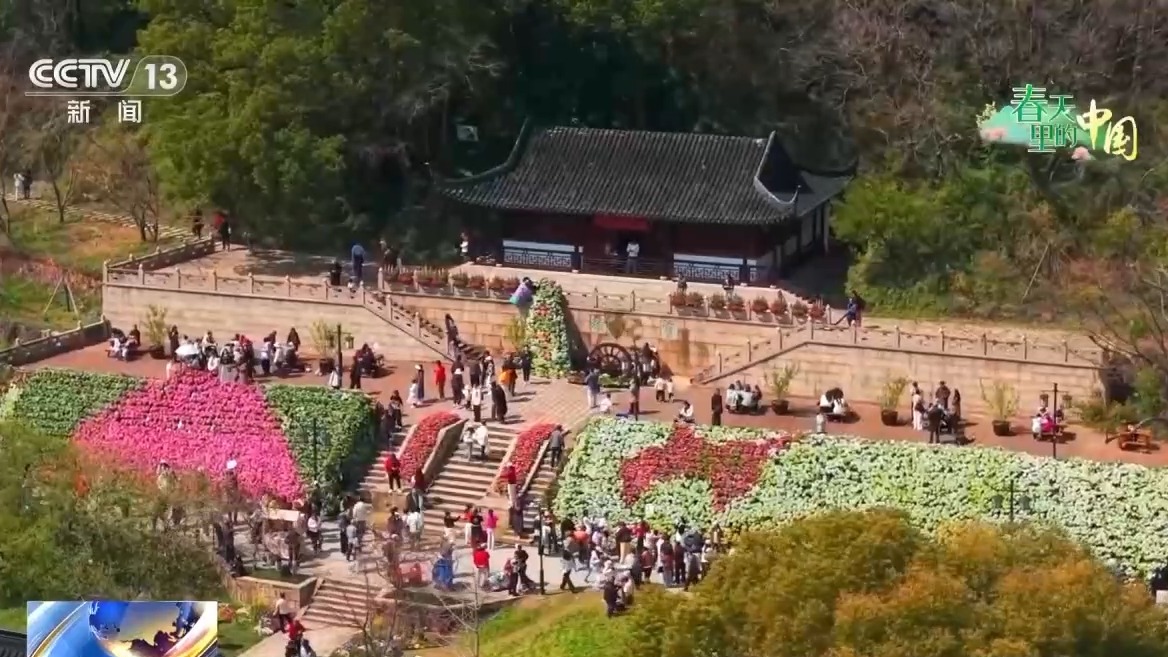 视频丨梯田美景、农家民宿……各地花海美景激活春日经济