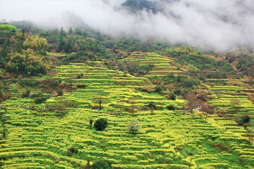 马力全开!春日消费“花开”多地 马力全开!春日消费“花开”多地