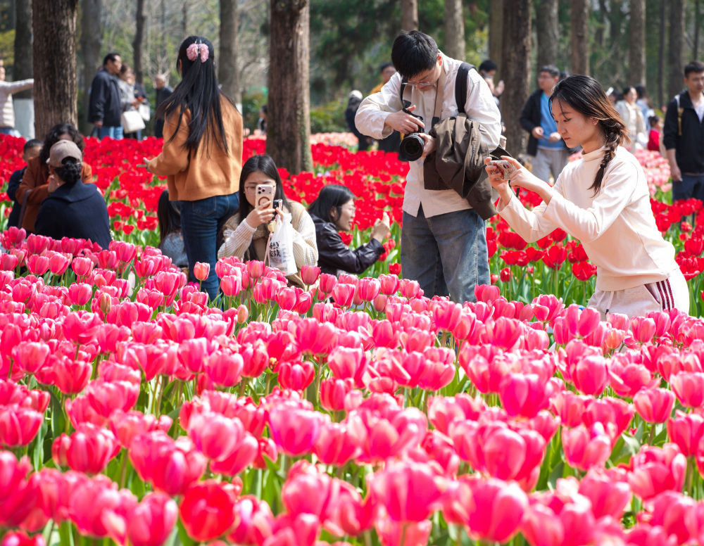 马力全开!春日消费“花开”多地 马力全开!春日消费“花开”多地