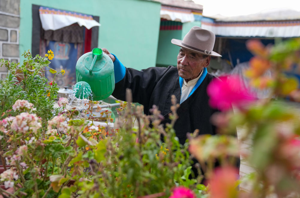 苦难和新生——西藏翻身农奴影像档案：达瓦片多
