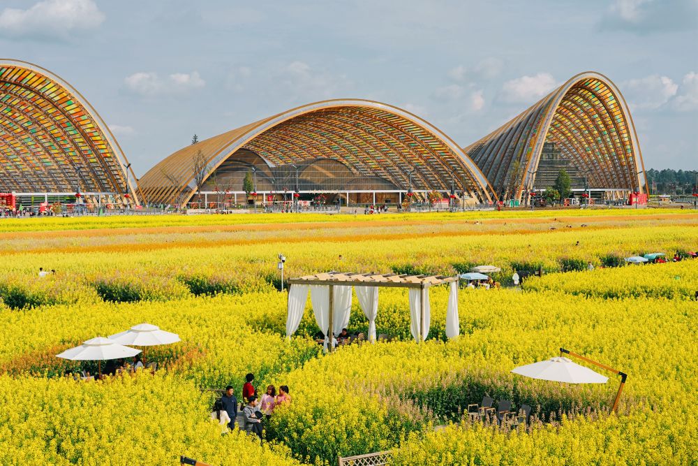 春日经济新图景｜“舌尖上的春天”品出好“钱”景