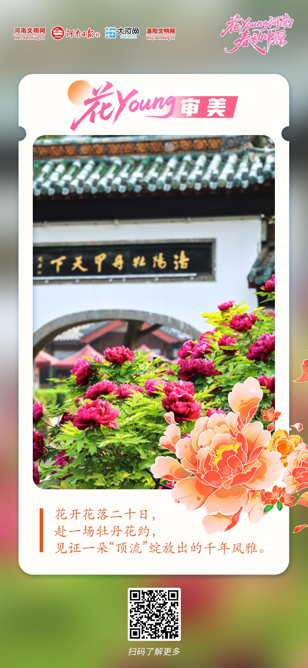 花Young河南 春动中原丨原来你是这样的河南