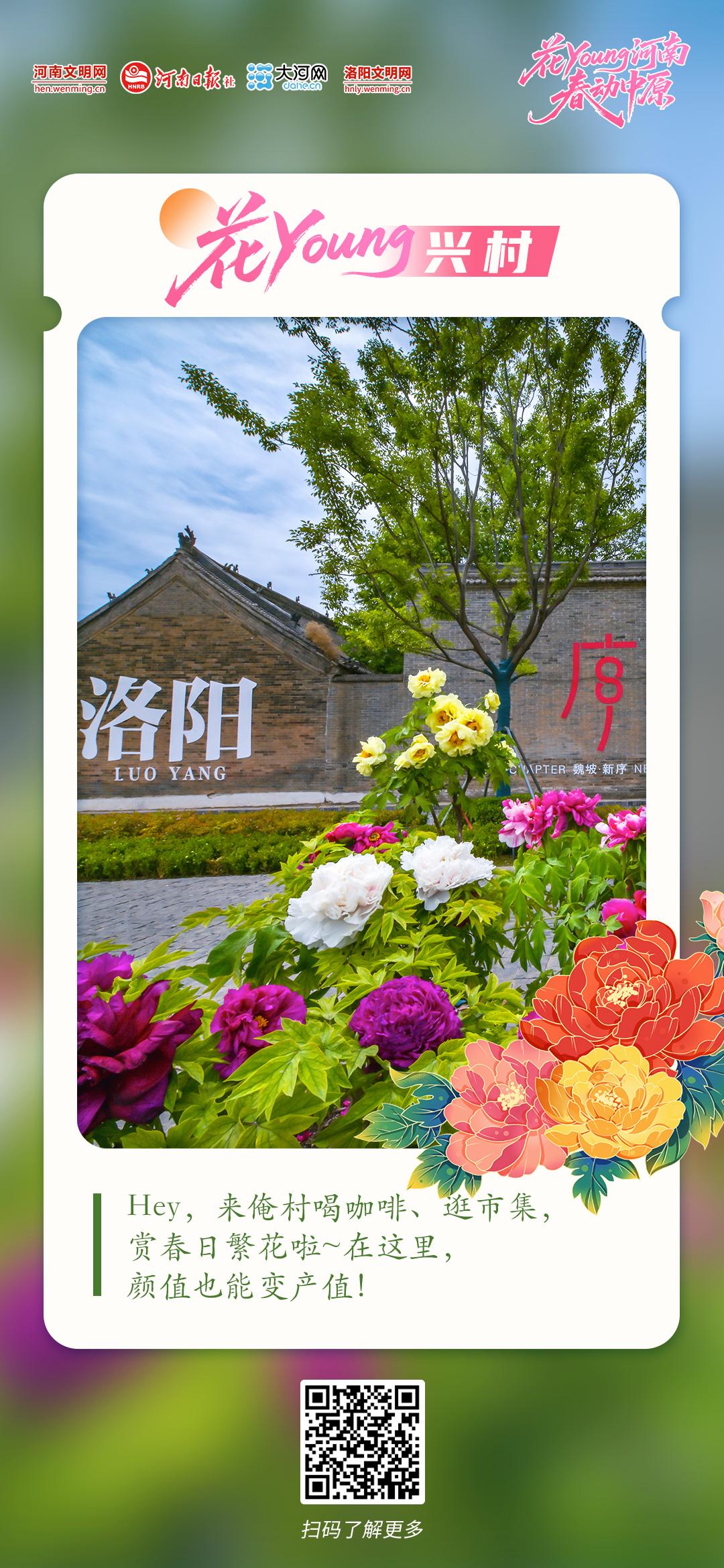 花Young河南 春动中原丨原来你是这样的河南