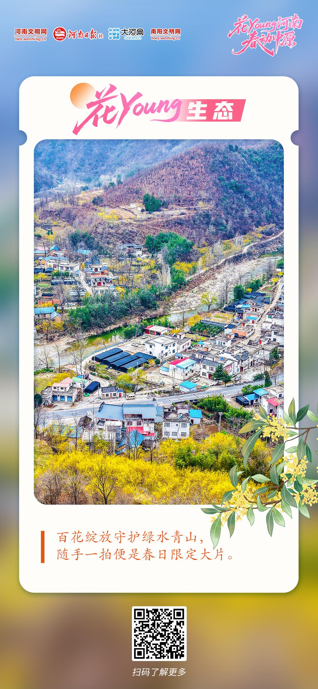 花Young河南 春动中原丨原来你是这样的河南