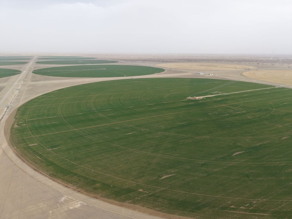 从太空看中国：只用了一年，沙漠边缘“绘就”绿色“同心圆”