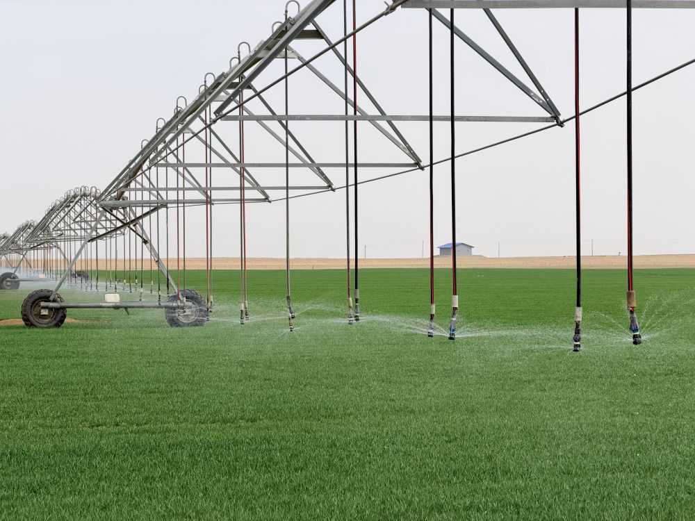 从太空看中国：只用了一年，沙漠边缘“绘就”绿色“同心圆”