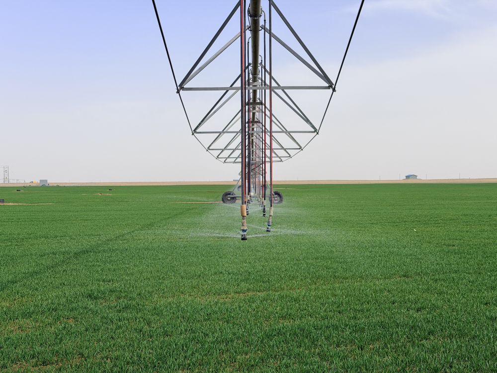 从太空看中国：只用了一年，沙漠边缘“绘就”绿色“同心圆”