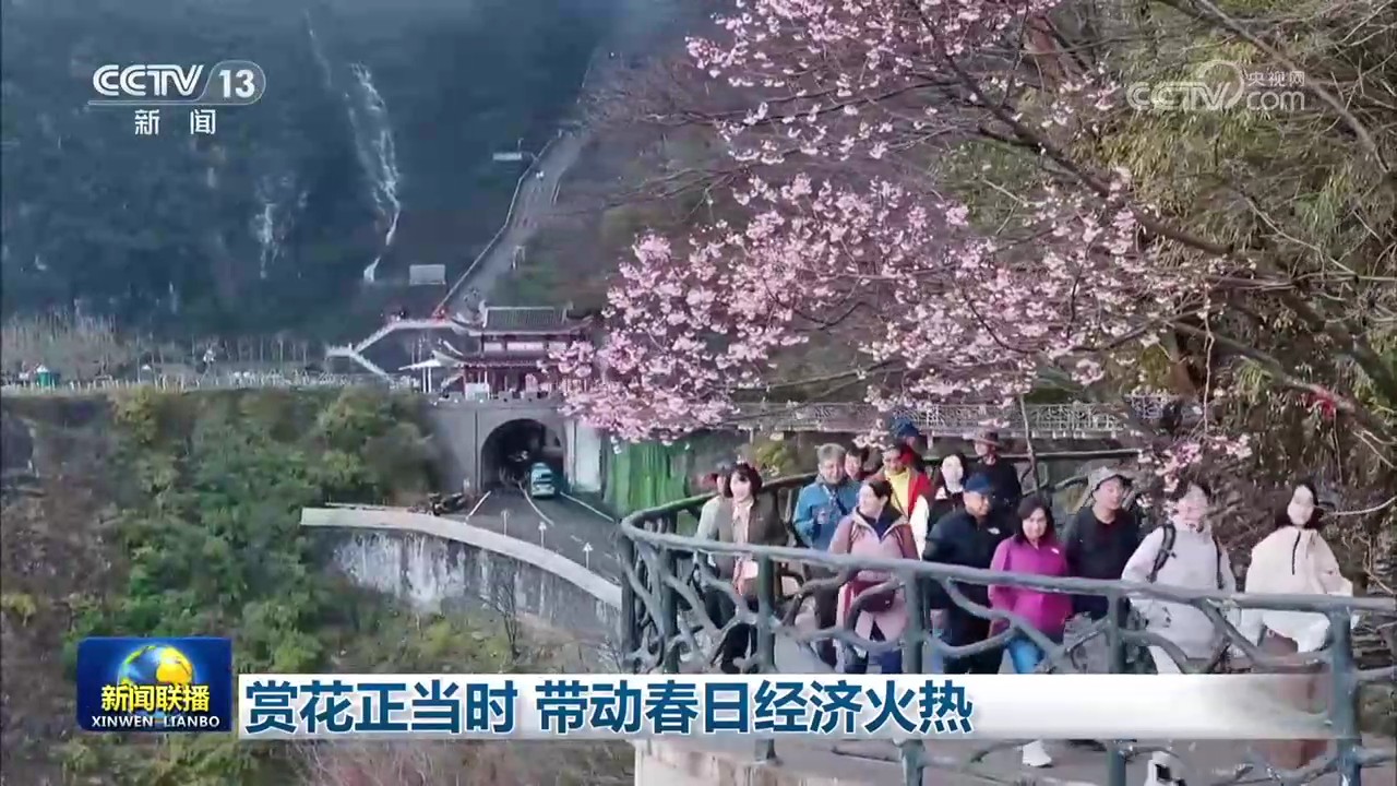 赏花正当时 带动春日经济火热