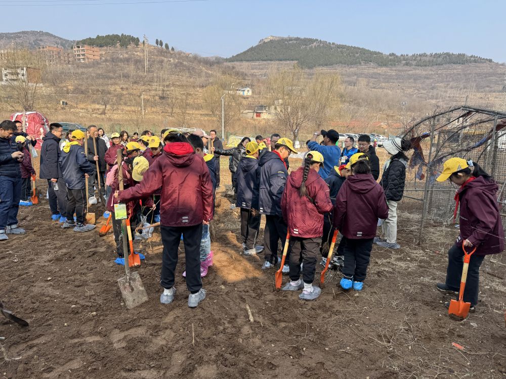 春日经济新图景｜“都市农夫”种菜忙