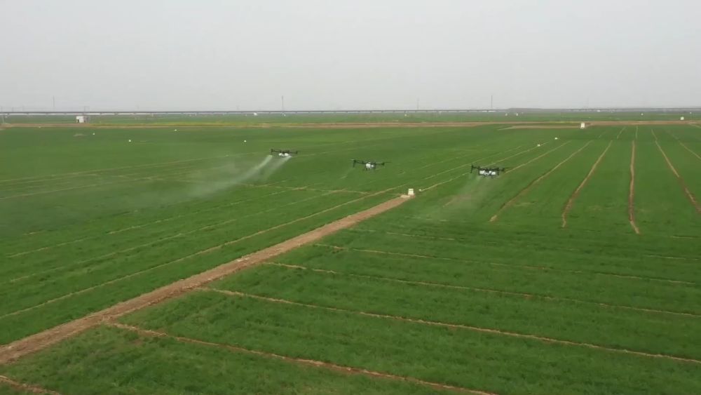 新华视点｜春耕一线扫描：精准施策 向新提质