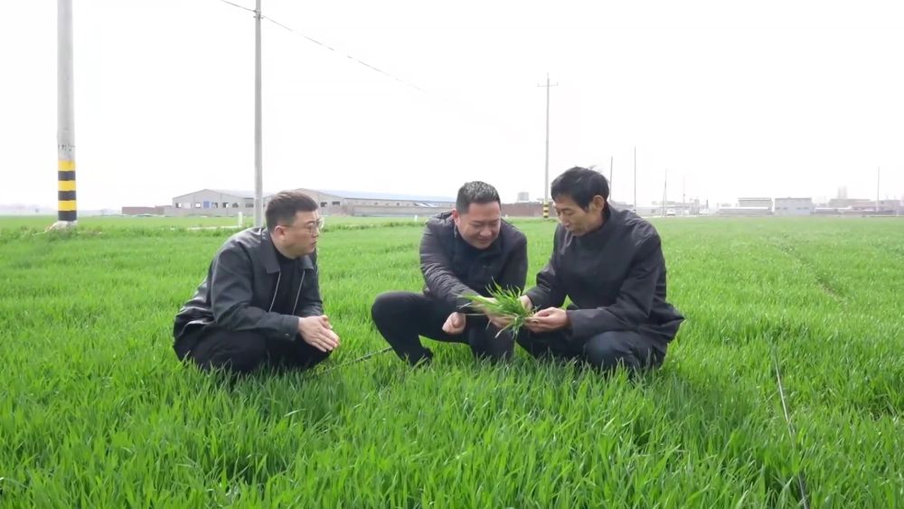 新华视点｜春耕一线扫描：精准施策 向新提质