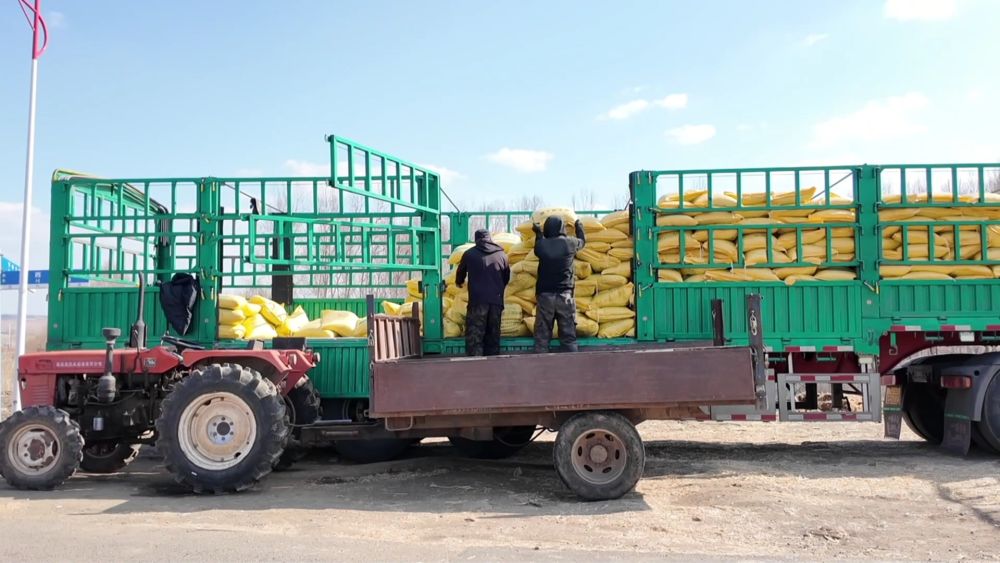 新华视点｜春耕一线扫描：精准施策 向新提质