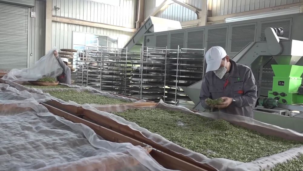 新华视点｜春耕一线扫描：精准施策 向新提质