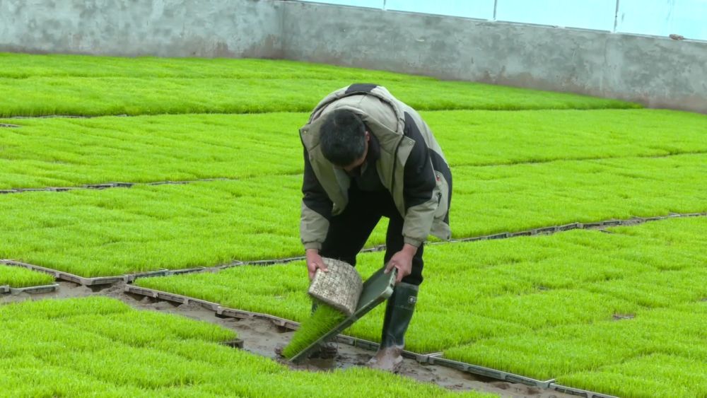 新华视点｜春耕一线扫描：精准施策 向新提质