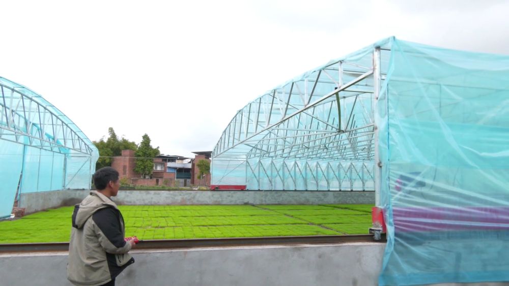 新华视点｜春耕一线扫描：精准施策 向新提质