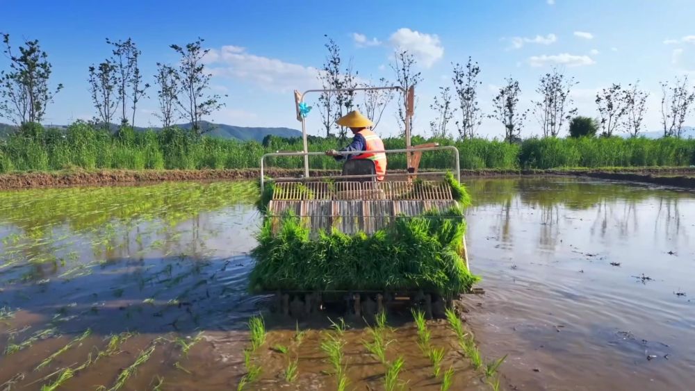 新华视点｜春耕一线扫描：精准施策 向新提质