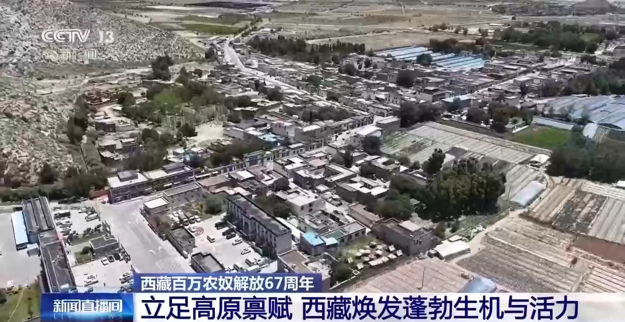 视频丨从“百万农奴解放”到“和美乡村” 西藏焕发蓬勃生机与活力