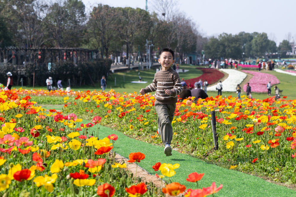 春日经济新图景｜踏春赏花，从“看风景”到“深体验”