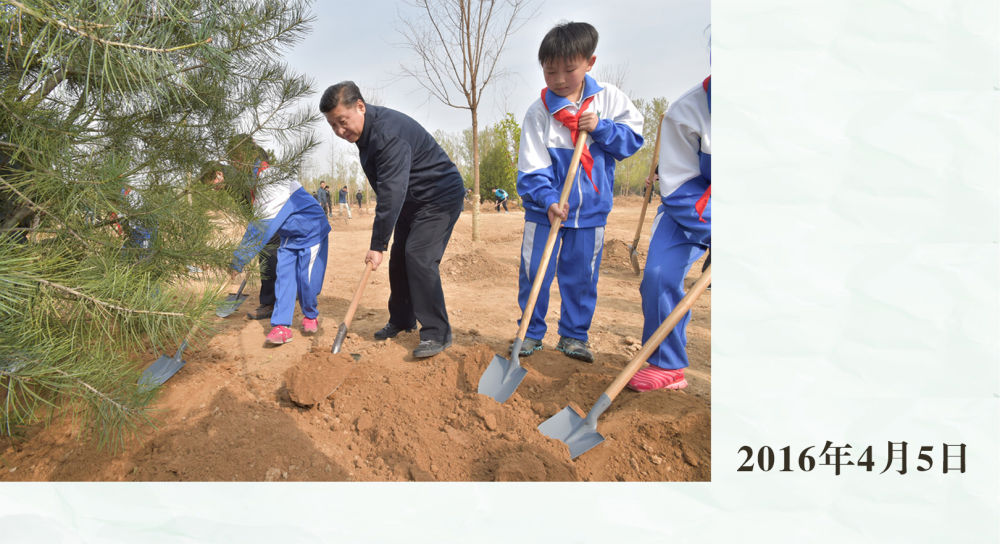 镜观·领航｜从植绿护绿，领悟总书记的政绩观