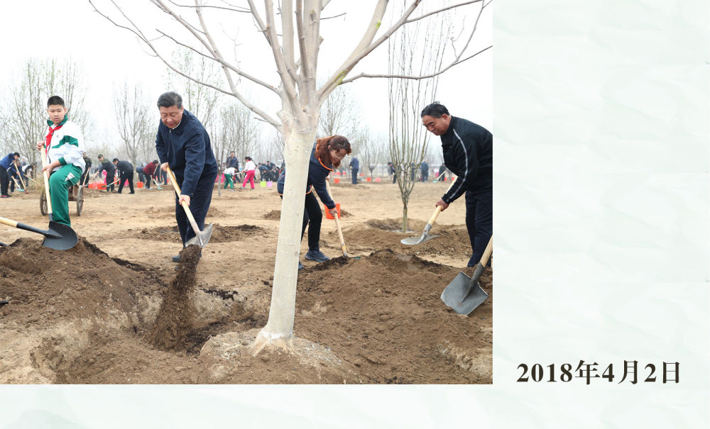 镜观·领航｜从植绿护绿，领悟总书记的政绩观