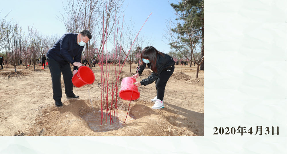 镜观·领航｜从植绿护绿，领悟总书记的政绩观