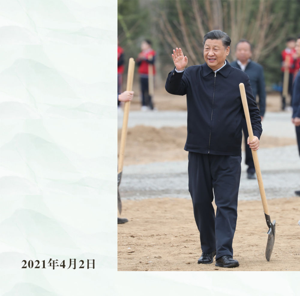 镜观·领航｜从植绿护绿，领悟总书记的政绩观