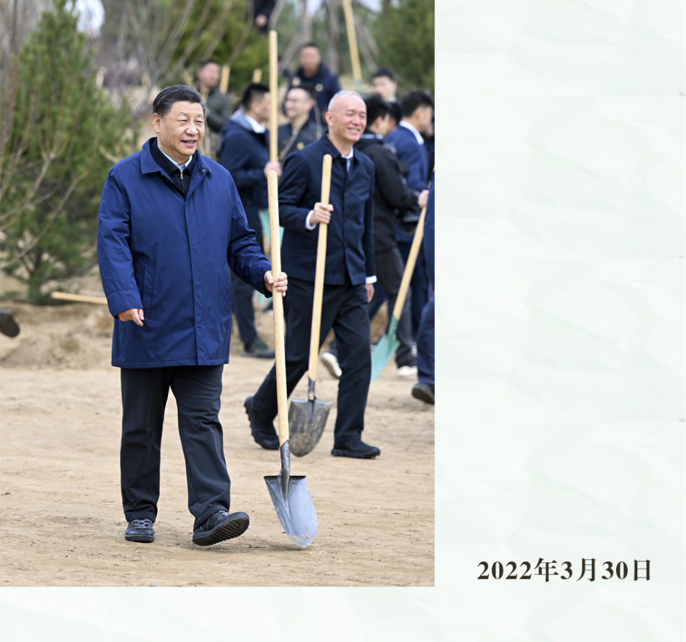 镜观·领航｜从植绿护绿，领悟总书记的政绩观