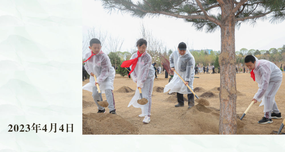 镜观·领航｜从植绿护绿，领悟总书记的政绩观