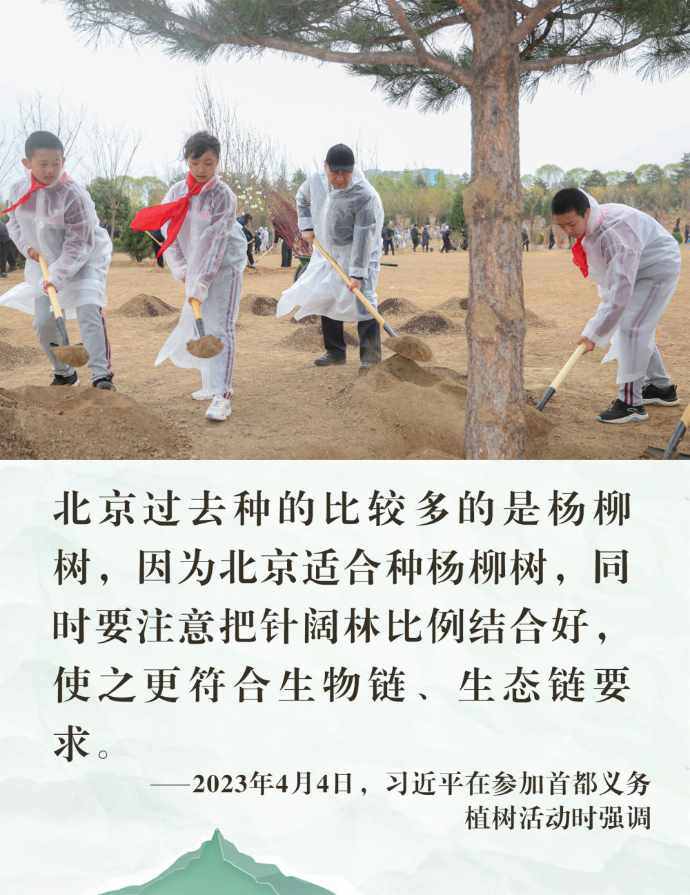 镜观·领航｜从植绿护绿，领悟总书记的政绩观