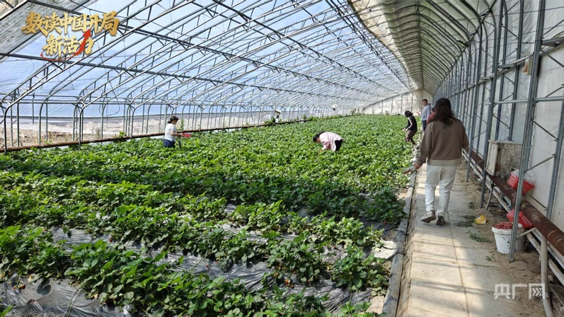 数读中国开局新活力丨272条研学线、28项活动，新疆2026春假文旅“大礼包”尽显多元魅力