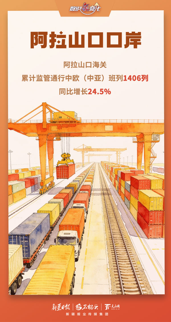 数说“新”变化丨多项数据创新高!今年前两月新疆口岸货畅人忙