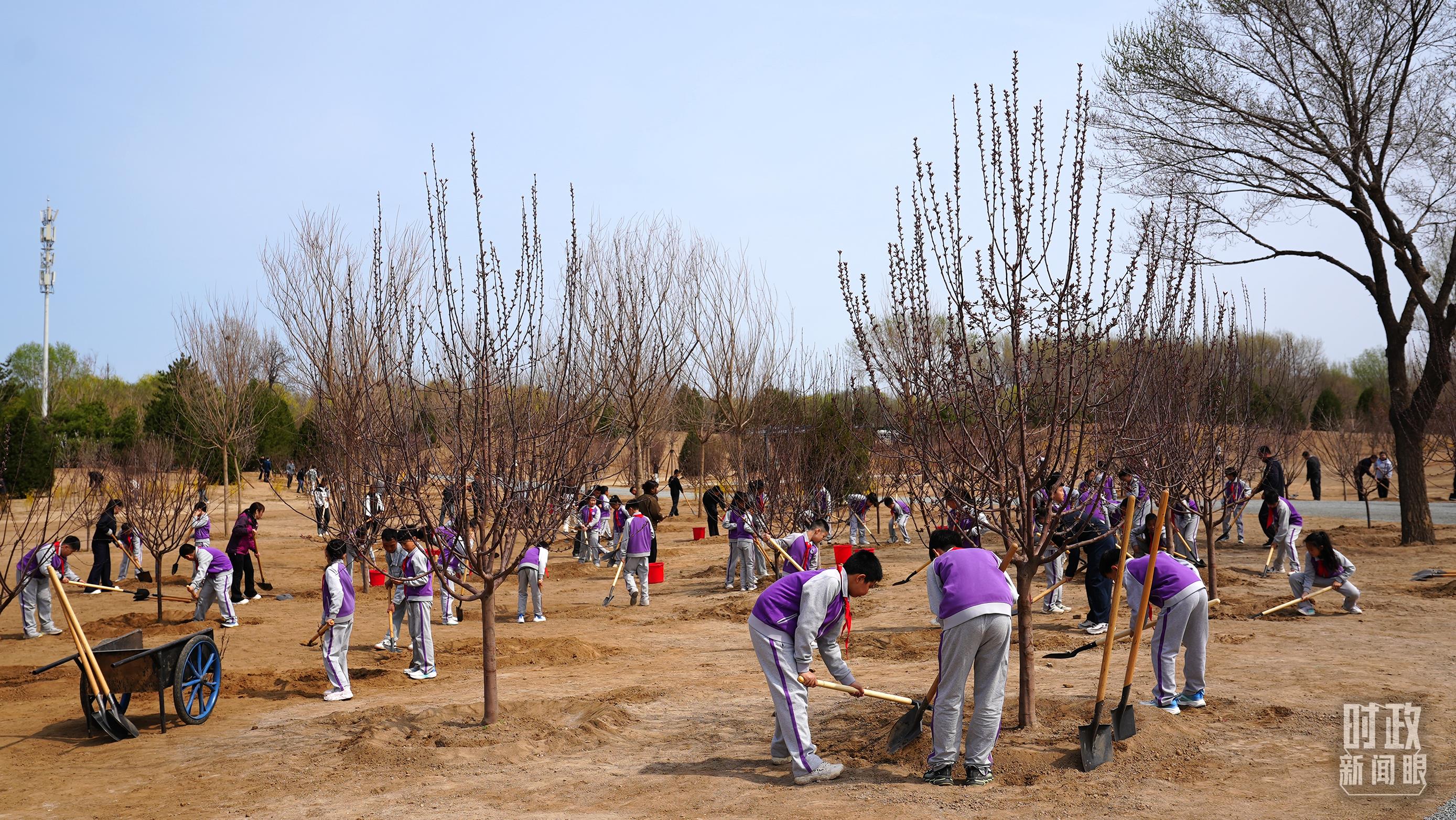 时政新闻眼丨在首都义务植树活动现场,习近平强调这件利国利民的大事