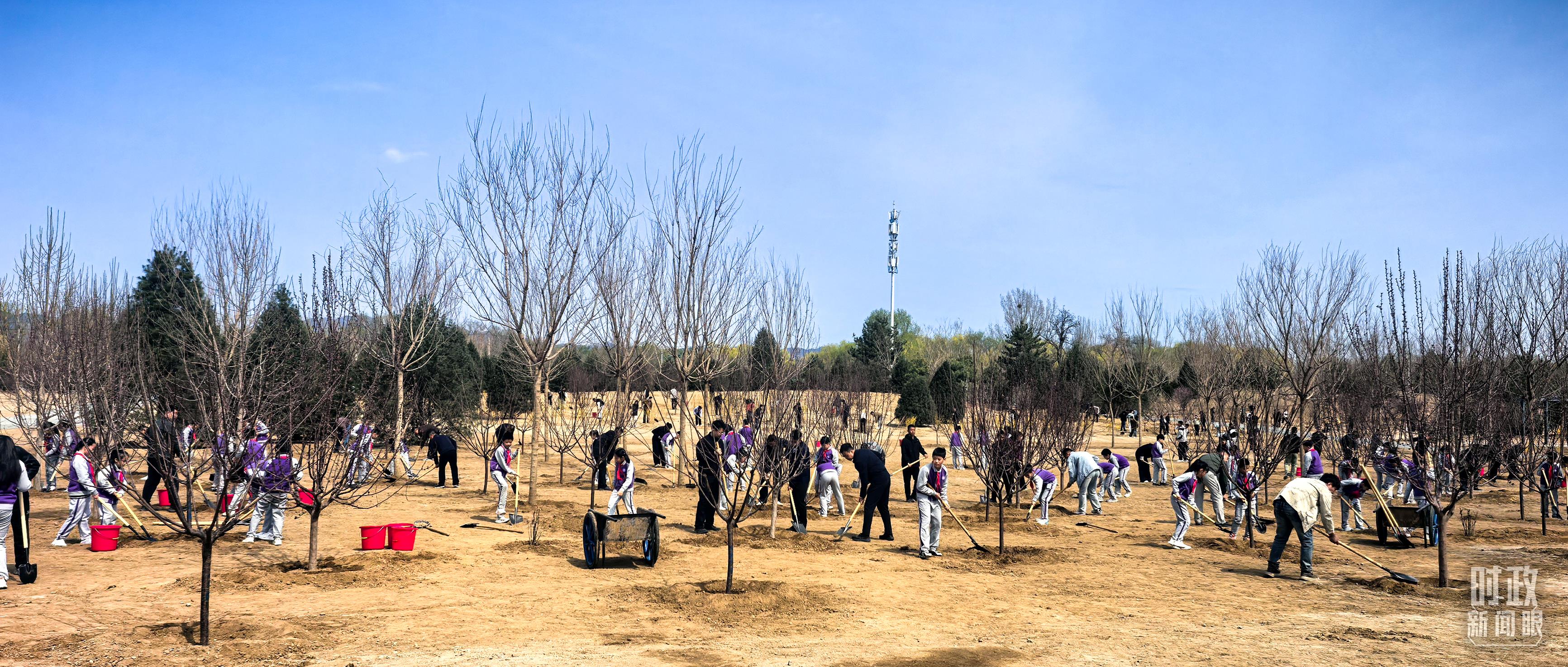 时政新闻眼丨在首都义务植树活动现场,习近平强调这件利国利民的大事