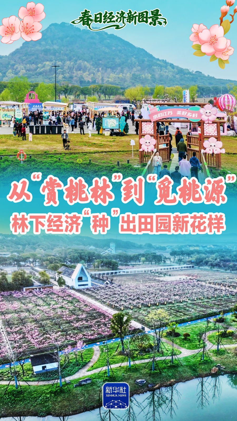 春日经济新图景｜从“赏桃林”到“觅桃源”，林下经济“种”出田园新花样