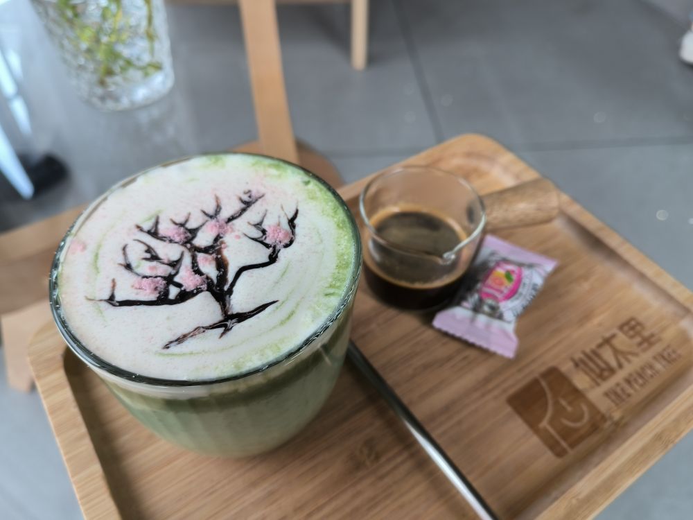 春日经济新图景｜从“赏桃林”到“觅桃源”，林下经济“种”出田园新花样